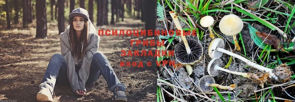 гашишное масло Волоколамск