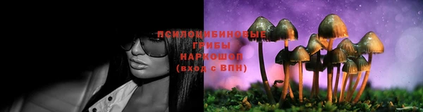 спайс Бородино