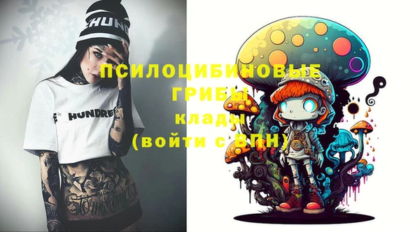 спайс Бородино
