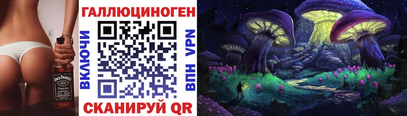 где купить наркоту  Малаховка  blacksprut рабочий сайт  Псилоцибиновые грибы мицелий 