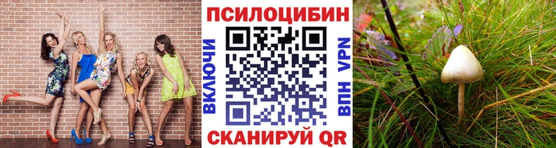 Галлюциногенные грибы мухоморы Малаховка