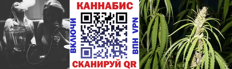 где можно купить Малаховка Конопля MAZAR
